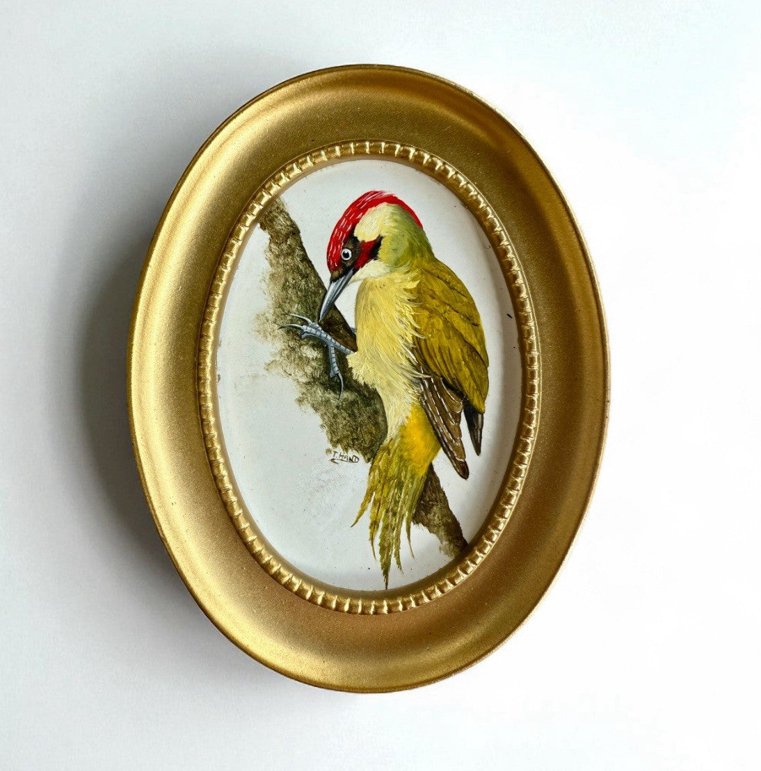 Pair Of Oil On Board Ornithological Studies By Tricia Hand Signed 