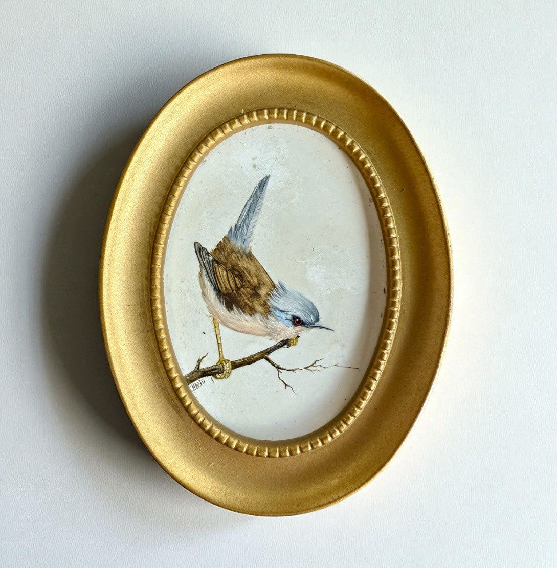 Pair Of Oil On Board Ornithological Studies By Tricia Hand Signed 