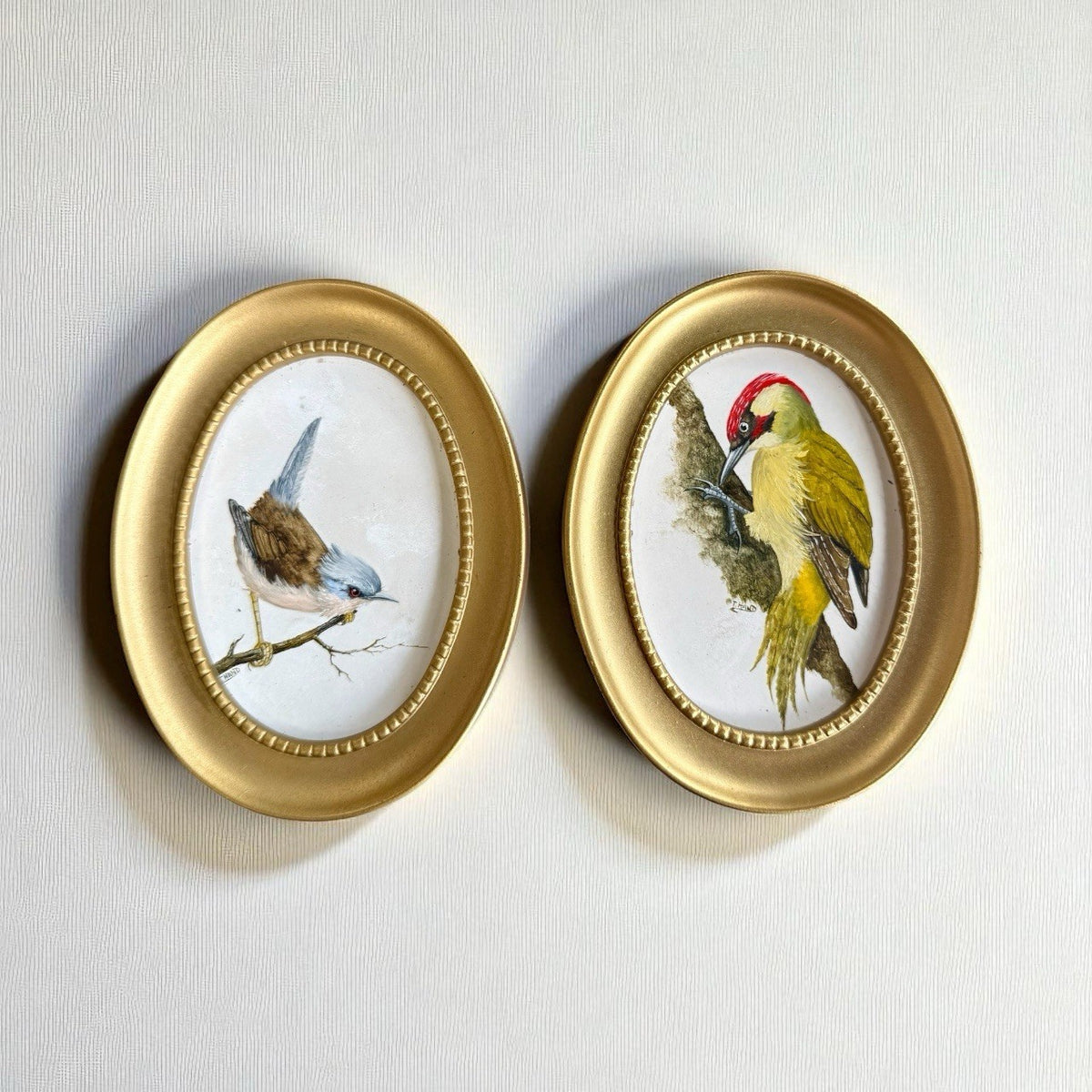 Pair Of Oil On Board Ornithological Studies By Tricia Hand Signed 